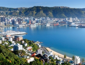 Wellington Private Tours for cruise ships